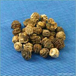 Organic Kachri