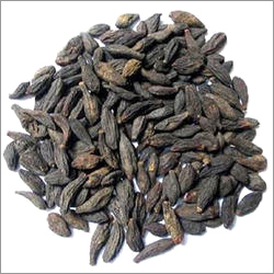 Myrobalans Black