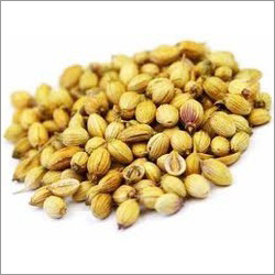 Coriander Seed