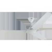 Ceiling Fans