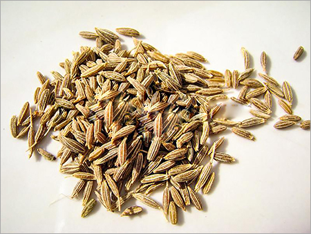 Dried Cumin Seed