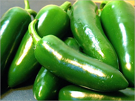 Fresh Green Chillies