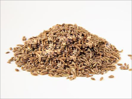 Organic Dill Seed