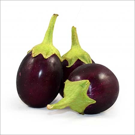 Indian Eggplant