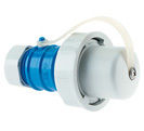 Plug - with cable gland