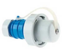 Plug - with cable gland