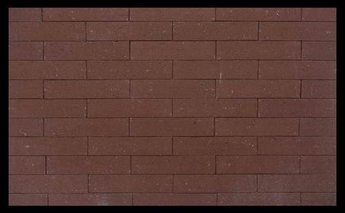 Clay Bricks