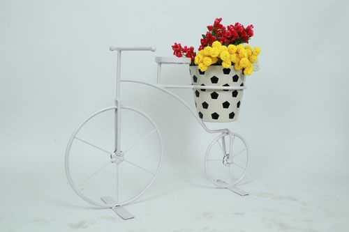 Bicycle Single Capacity