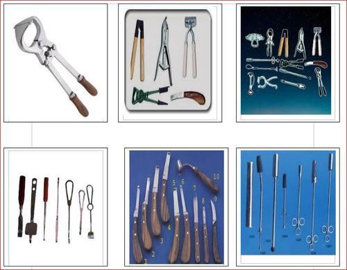 Veterinary Instrument