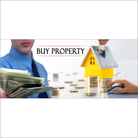 Property Dealer