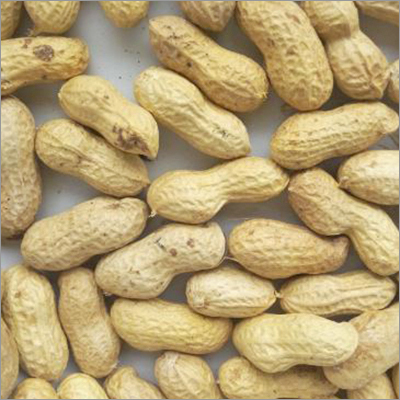 Peanut Kernel