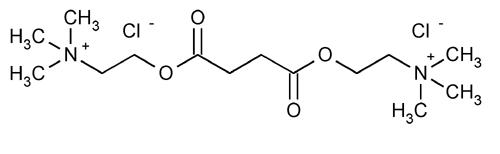 Succinylcholine