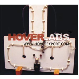 WATER CIRCUIT BOARD