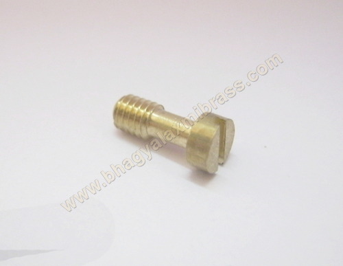 Brass Sealing screw