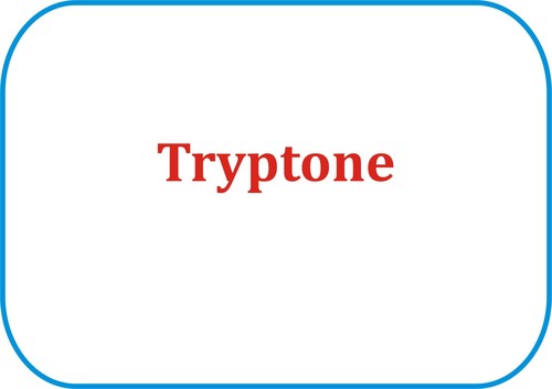 Tryptone