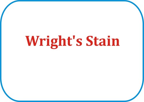 Wright's Stain - 25gm Powder LR, Methanol Soluble | Accurate Staining, Consistent Quality, Easy to Use