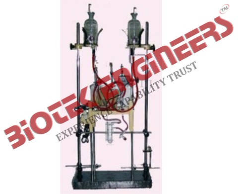 Mammalian Heart Perfusion Assembly