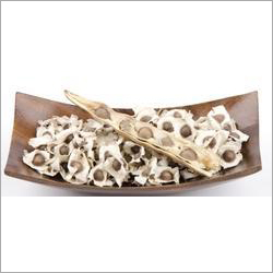 Moringa Seed