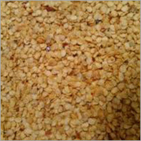 Red Chilli Seeds