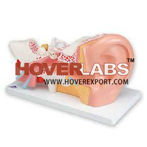 Bulk School Tender Supply