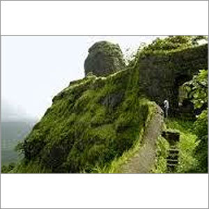 Kanwar Wildlife Sanctuary Tour