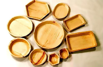 Shaped Areca Leaf Plates