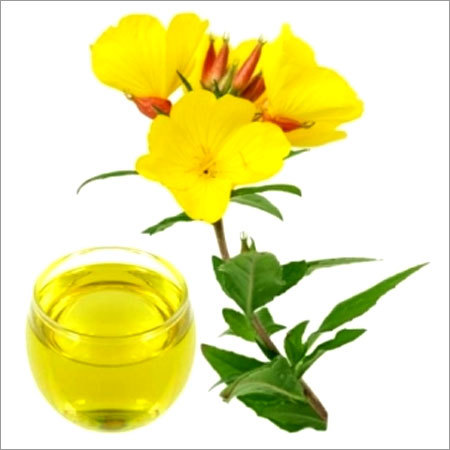 Evening Primrose Oil
