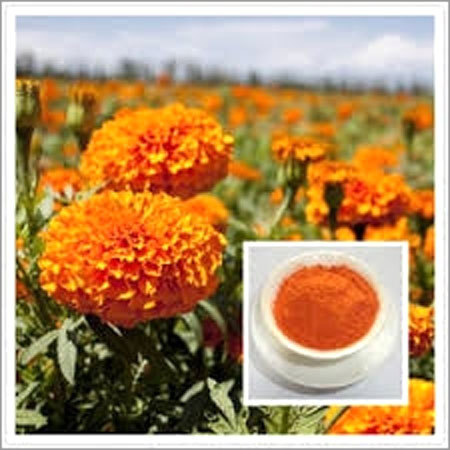 Lutein