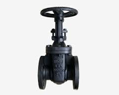 Globe Valves