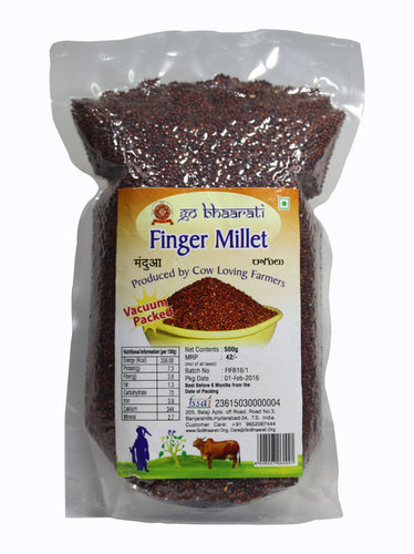 Finger Millet - Organic, Fresh | High Calcium, Low Glycemic, Rich in Iron and Amino Acids, Diabetic-Friendly, Natural Appetite Suppressant