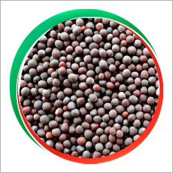 Black Mustard Seeds