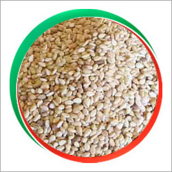 Natural Sesame Seeds