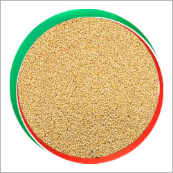 Amaranth Grains