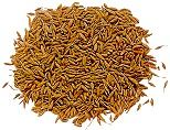 Caraway Seed