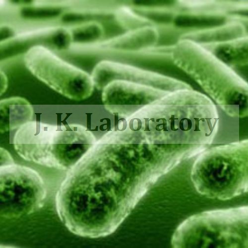 Microbiology Testing Services