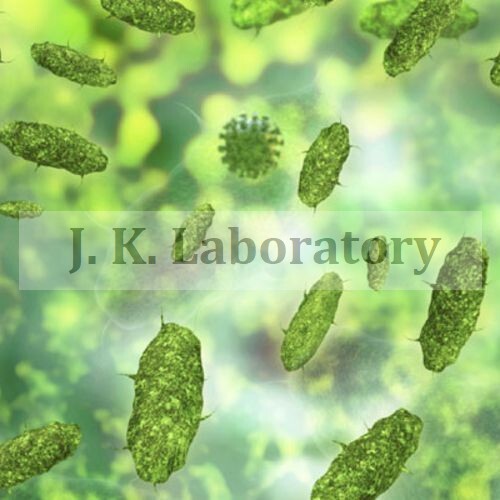 Microbiology Testing સેવાઓ