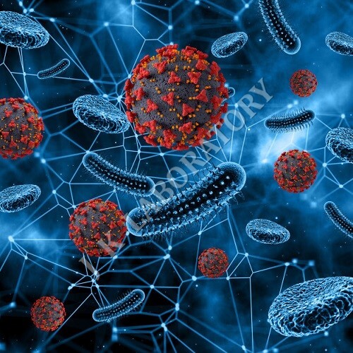 Preclinical Testing સેવાઓ