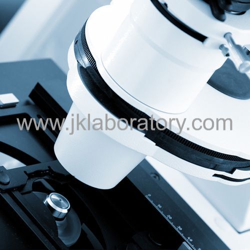 Sustainibility Testing સેવાઓ