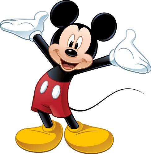 Micky Mouse Professional Cartoon Character
