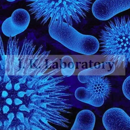 Virology Testing Services