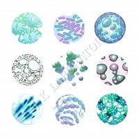Virology Testing Services