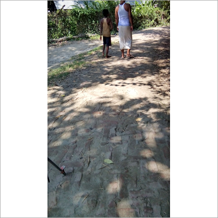 Survey Current Project