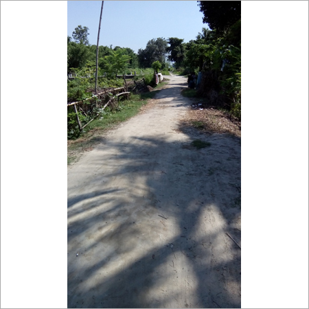 Survey Current Project