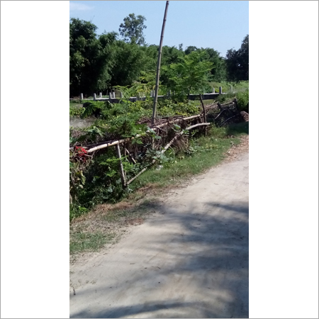 Survey Current Project
