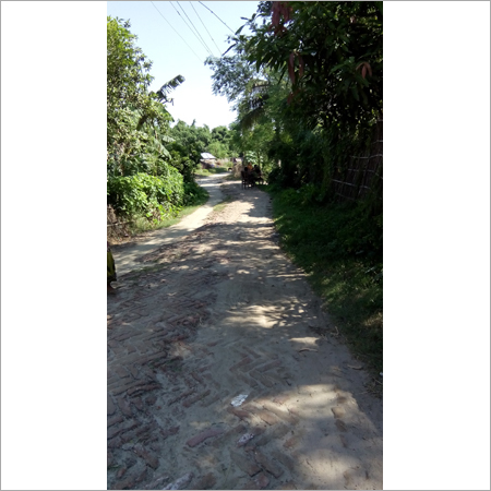Survey Current Project