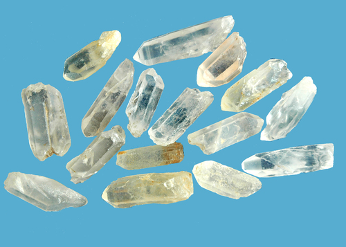 Lemurian seed