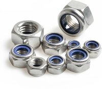 Nylock Nut - Stainless Steel, Painted Silver | Anti-corrosive Surface, Excellent Strength, Hassle-free Installation, Fine Finish