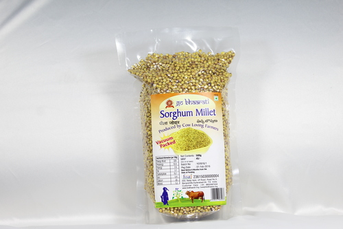 Sorghum Yellow Jowar