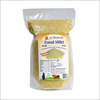 Foxtail Millet