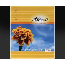 Brochure Folder Printing Services